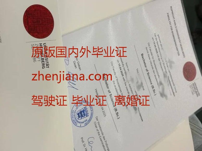 办埃迪斯科文大学毕业证