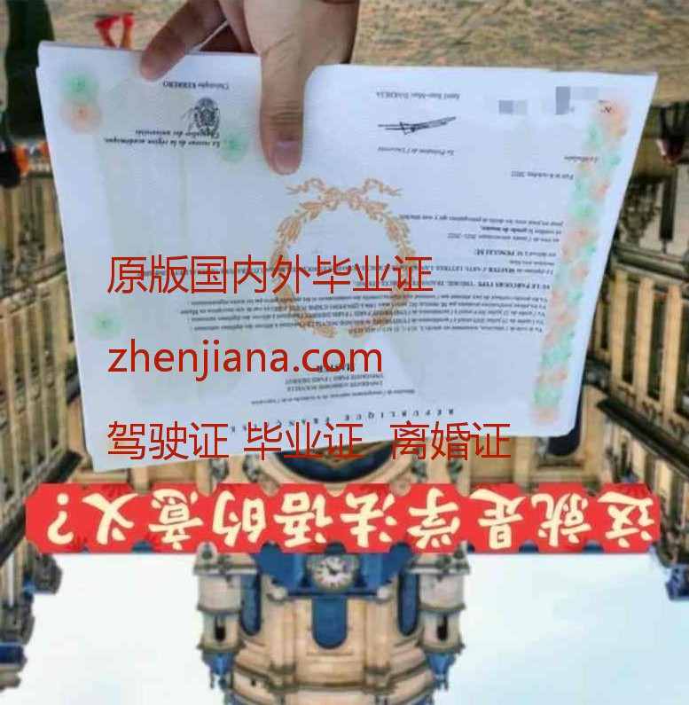 办崇实大学毕业证