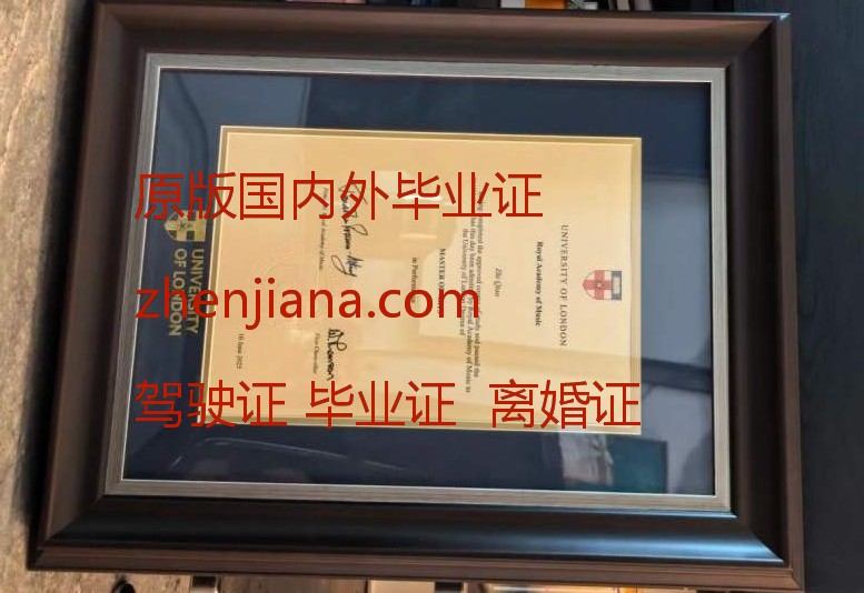 办崇实大学毕业证