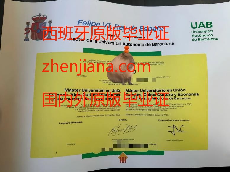 办庞培法布拉大学毕业证