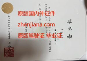 办延世大学毕业证