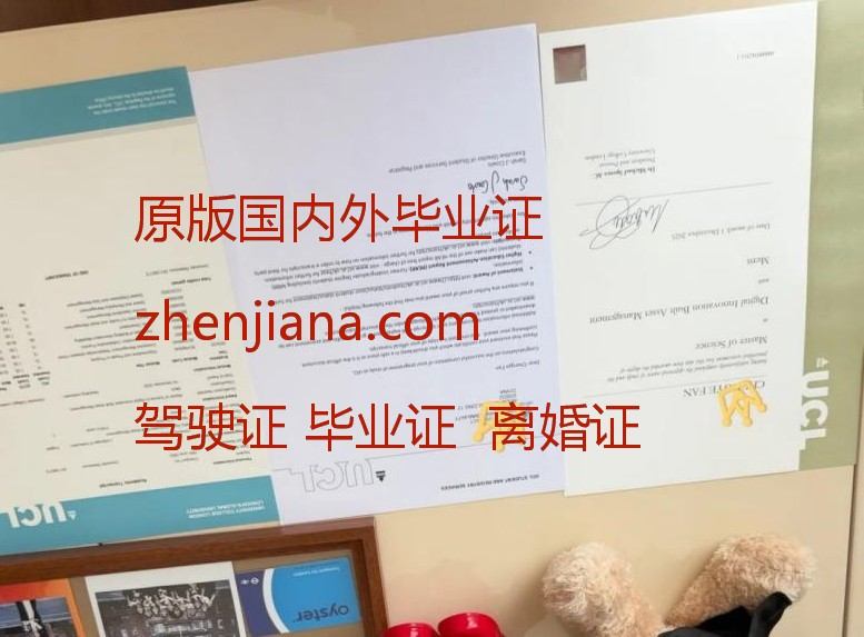 办新加坡管理大学毕业证
