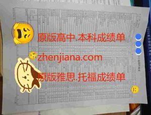 办本科成绩单