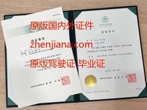 办梨花女子大学毕业证