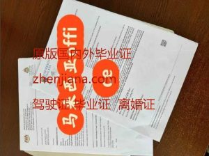 办淑明女子大学毕业证