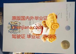 办蔚蓝海岸大学毕业证 Obtain a diploma from Université Côte d'Azur