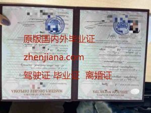 办达尔豪斯大学毕业证