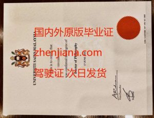 办阿姆斯特丹大学毕业证