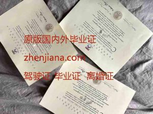 办阿尔伯塔大学毕业证