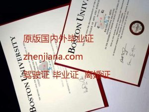 办雷恩第一大学毕业证 Obtain a degree from the University of Rennes 1