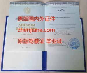 办韩东大学毕业证