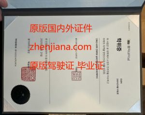 办首尔国立大学毕业证