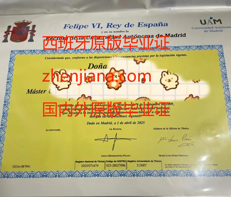 办马德里卡洛斯三世大学毕业证