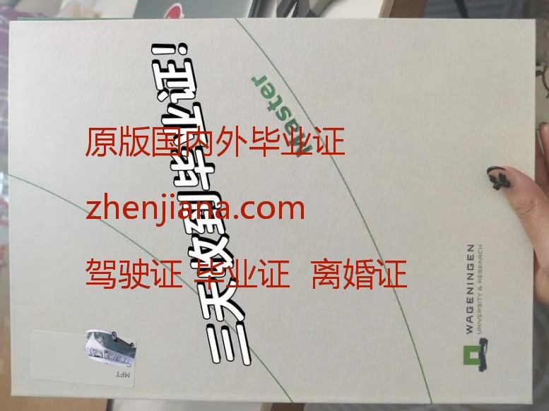 办麦克马斯特大学毕业证