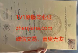 办科廷大学毕业证